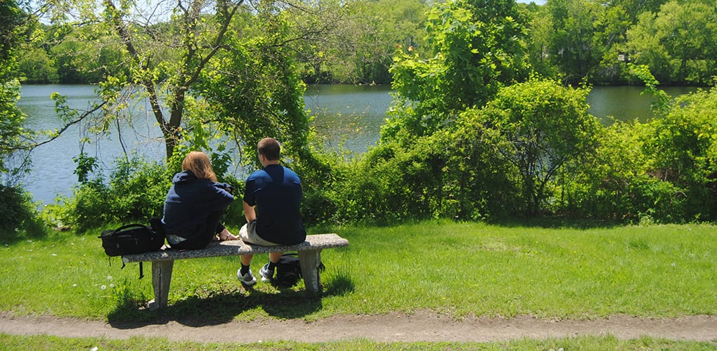 Clay pit pond drawing