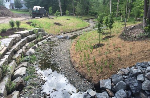Beta Fuller Brook Photo 2 Scaled