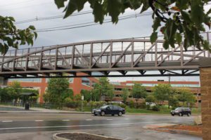 Cochituate Rail Trail