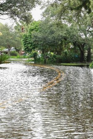 flood mitigation assistance grant program