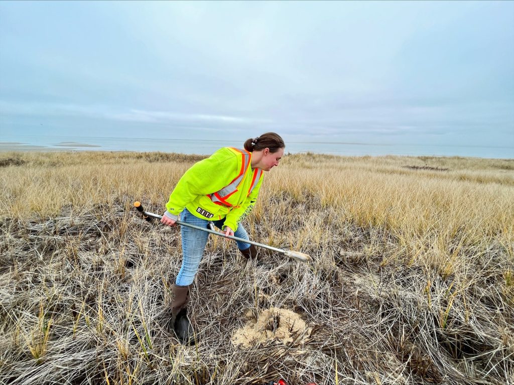 Tripp Nantucket Wetland Delineation