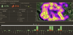 South Hadley, MA Tree Inventory Dashboard