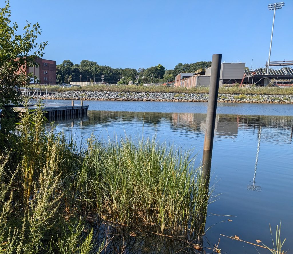 View of the Seekonk River facing the Rhode Island Football Club (RIFC) Stadium in Pawtucket, RI. The banks of the river have vegetation in the foreground, and rip-rap slope on the stadium side.