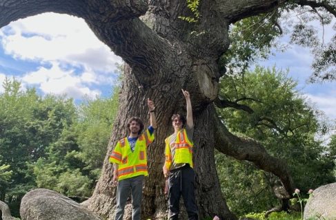 Leo And Ian Bloomfield Tree Inventory